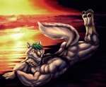 abs anthro beach biceps butt fur male muscular muscular_anthro muscular_male outside seaside solo bleakcat seela canid canine canis mammal wolf