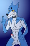 anthro balls blue_body blue_fur collar erection fur genitals humanoid_genitalia male multicolored_body multicolored_fur nude penis solo two_tone_body two_tone_fur yellow_eyes darkajugin power_rangers super_sentai tokusou_sentai_dekaranger doggie_kruger canid canine mammal absurd_res hi_res