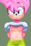 bottomwear clothed clothing clothing_lift female flat_chested looking_at_viewer nipples nude shirt shirt_lift simple_background skirt slo topless topwear young young_female aerosin fleetway_comics sega sonic_the_comic sonic_the_hedgehog_(comics) sonic_the_hedgehog_(series) amy_rose amy_rose_(fleetway) eulipotyphlan hedgehog mammal hi_res