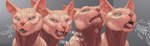 almost_fully_inside burping extreme_size_difference fatal feral feral_pred feral_prey fully_inside hairless hard_vore male micro oral_vore partially_inside size_difference teeth vore yellow_teeth epeon meeko domestic_cat felid feline felis hairless_cat mammal sphynx_(cat) absurd_res hi_res