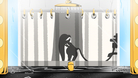 anthro bathroom faucet female masturbation mirror shower shower_curtain shower_head silhouette sink solo water awkward2eleven sega sonic_riders sonic_the_hedgehog_(series) wave_the_swallow avian babylonian_(sonic) bird hirundinid oscine passerine swallow_(bird) 16:9 4k absurd_res hi_res widescreen