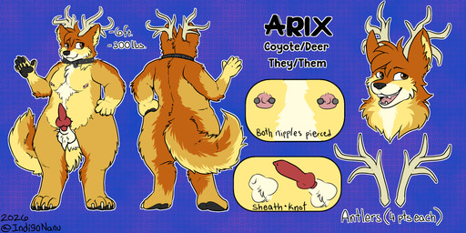 animal_genitalia animal_penis anthro antlers areola ball_tuft balls barbell_piercing big_butt biped butt canine_genitalia canine_penis cheek_tuft erection facial_tuft fluffy fluffy_chest fluffy_hair fluffy_tail front_view genitals hair horn knot knotted_penis male male_anthro nipple_piercing nipples penis piercing rear_view sheath solo standing tail tuft wide_hips canid canine canis coyote deer mammal 2:1 hi_res model_sheet