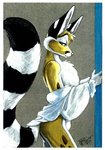 anthro blouse bulge butt clothing fluffy fluffy_tail fur looking_back male markings ring_(marking) ringed_tail solo striped_markings striped_tail stripes tail tail_markings topwear undressing terrie_smith chester_ringtail_magreer bassariscus cacomistle mammal procyonid 1997 signature traditional_media_(artwork)