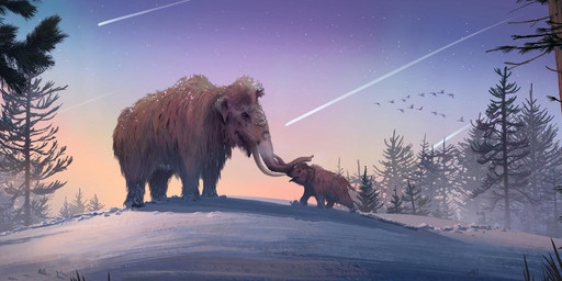 amazing_background aurora_(phenomenon) brown_body brown_fur detailed_background duo evergreen_tree feral forest fur pine_tree plant proboscis_(anatomy) quadruped shooting_star snow tree trunk_(anatomy) tusks anthon500 ambient_bird elephantid mammal mammoth prehistoric_species proboscidean woolly_mammoth 2018 detailed mother_(lore) mother_and_child_(lore) parent_(lore) parent_and_child_(lore)