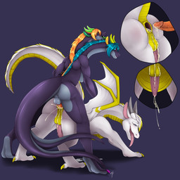 anal anal_penetration anus ass_up balls blue_eyes blue_mane bodily_fluids butt claws cum cum_from_ass cum_in_ass cum_inside duo feral genital_fluids genitals grey_horn horn male male/male mane multicolored_mane orange_mane penetration penis perineum pink_claws pink_penis pink_tongue puffy_anus raised_tail tail tongue yellow_anus yellow_claws spyropurple mythology kyorg7 dragon mythological_creature mythological_scalie scalie 1:1 hi_res