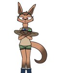 anthro australian australian_flag clothed clothing crossed_arms female hat headgear headwear looking_at_viewer simple_background smile solo tail white_background toxis harper_(toxis) kangaroo macropod mammal marsupial