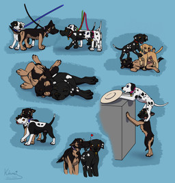 belly black_body black_fur blue_eyes blush brown_body brown_eyes brown_fur clothing collar collar_tag cuddling duo female feral fur green_eyes group hat headgear headwear heart_symbol leash long_fur male nuzzling orange_eyes pink_belly short_fur sleeping standing_on_shoulders standing_over tail tail_motion tailwag trio white_body white_fur wrestling yellow_body yellow_fur young kinaj jess_(kinaj) kim_(kinaj) rex_(kinaj) tamara_(kinaj) ted_(kinaj) bird_dog canid canine canis dalmatian domestic_dog german_shepherd herding_dog hunting_dog labrador mammal mixed_breed pastoral_dog retriever absurd_res hi_res