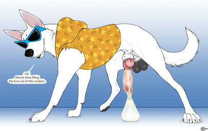 animal_genitalia animal_penis balls bodily_fluids canine_genitalia canine_penis claws condom cum eyewear feral filled_condom fur genital_fluids genitals knot male paws penis quadruped sexual_barrier_device solo sunglasses tail text wearing_condom white_body white_fur consensualcanine blake_(consensualcanine) canid canine canis domestic_dog german_shepherd herding_dog mammal pastoral_dog absurd_res english_text hi_res