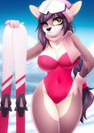 anthro big_breasts black_hair black_nose braided_hair breasts brown_body clothed clothing day female gloves green_eyes hair handwear leotard long_hair looking_at_viewer mountain navel one_eye_closed outside scarf ski smile snow solo dannyckoo tresertf deer mammal 2020 hi_res