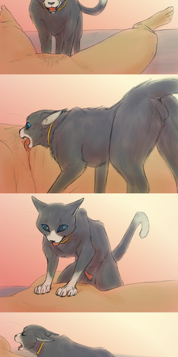 animal_genitalia animal_penis arched_back balls bestiality blue_eyes bodily_fluids claws clitoris collar cum cum_drip cunnilingus dripping duo faceless_character faceless_female feline_genitalia feline_penis female feral from_front_position fur genital_fluids genitals grey_body grey_fur human_on_feral interspecies lying male male/female missionary_position on_back oral penetration penile penile_penetration penis penis_in_vagina pubes sex simple_background sleep_sex sleeping tongue vaginal vaginal_penetration vulva whiskers white_body white_fur peregr1ne atlus megami_tensei persona_(series) persona_5 sega morgana_(persona) domestic_cat felid feline felis human mammal absurd_res comic hi_res long_image tall_image
