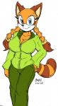 accessory aged_up anthro big_breasts blue_eyes bottomwear braided_hair breasts brown_ears cleavage clothed clothing female hair hair_accessory hair_tie hand_on_hip jacket markings pants simple_background smile solo striped_markings striped_tail stripes tail tail_markings topwear white_background zhengfox sega sonic_the_hedgehog_(series) marine_the_raccoon mammal procyonid raccoon 2019 hi_res