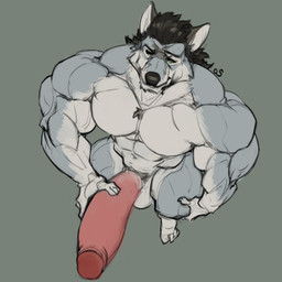 abs anthro balls barazoku biceps big_muscles big_penis biped black_hair black_nose chest_tuft claws closed_smile countershade_arms countershade_face countershade_fur countershade_legs countershade_torso countershading deltoids erection eyebrows feet finger_claws fingers foreskin fur genitals glans green_eyes grey_background grey_body grey_fur hair hand_on_own_penis hand_on_penis high-angle_view holding_own_penis holding_penis huge_muscles huge_penis humanoid_feet humanoid_genitalia humanoid_hands humanoid_penis looking_at_genitalia looking_at_own_penis looking_at_penis looking_at_self looking_down looking_down_at_self male male_anthro manly monotone_background mouth_closed multicolored_body multicolored_fur muscular muscular_anthro muscular_arms muscular_male navel nude nude_anthro nude_male pecs penis pink_glans pink_penis plantigrade quads retracted_foreskin simple_background smile solo standing toes trapezius triceps tuft vein veiny_muscles white_body white_countershading white_fur oldshep george_(yuri)_kuznetsov canid canine canis mammal wolf 1:1 digital_drawing_(artwork) digital_media_(artwork) flat_colors signature