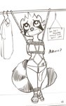 alec8ter anthro bdsm bondage bound clothed clothing conditional_dnp english_text female fur gag mammal monochrome panties procyonid raccoon restraints rope rope_bondage rope_harness sex_toy shirt sign solo t-shirt tank_top tape tape_gag text topwear underwear vibrator