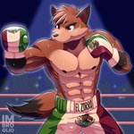 abs anthro black_nose bodily_fluids bottomwear boxing boxing_gloves brown_body brown_fur clothed clothing fight fighting_pose fighting_ring fur hair handwear male multicolored_body multicolored_fur muscular muscular_anthro muscular_male nipples pants pose shorts solo sport stadium sweat topless topless_anthro topless_male imbroglio_24 canid canine fox mammal