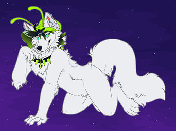 all_fours anthro beanie black_collar black_hair black_nose blue_eyes claws clothing collar collar_tag digitigrade feet finger_claws fur green_beanie green_clothing green_hat green_headwear green_highlights green_spikes hair hat headgear headwear highlights_(coloring) hindpaw humanoid_hands male night outline paws sectoral_heterochromia sky skyscape snout solo spiked_collar spikes star starry_sky starscape tail toe_claws white_body white_claws white_fur white_outline maligaytor limewire_(maligaytor) arctic_fox canid canine fox mammal true_fox 2026 aliasing digital_drawing_(artwork) digital_media_(artwork) flat_colors full-length_portrait microsoft_paint_(artwork) portrait