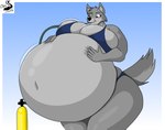 air_inflation anthro belly belly_expansion belly_inflation breasts clothing expansion female helium_tank hose hose_inflation inflation small_head solo swimwear chrisandcompany canid canine canis mammal wolf hi_res