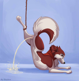anus bodily_fluids bound clenched_teeth feet female female_peeing feral fur genital_fluids genitals legs_tied looking_at_viewer paws peeing red_body red_fur rope simple_background solo tail teeth toes urine urine_on_ground urine_pool urine_stream vulva dishka balto_(series) universal_studios jenna_(balto) canid canine canis domestic_dog husky mammal nordic_sled_dog spitz digital_media_(artwork) hi_res