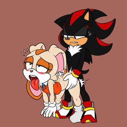 age_difference ahegao anthro bodily_fluids doggystyle duo female floppy_ears from_behind_position looking_pleasured male male/female sex standing standing_sex sweat sweatdrop soulyagami64 sega sonic_the_hedgehog_(series) cream_the_rabbit shadow_the_hedgehog domestic_rabbit eulipotyphlan hedgehog lagomorph leporid mammal oryctolagus rabbit 1:1 hi_res