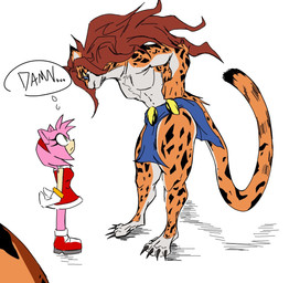 anthro bottomwear breasts clothed clothing duo featureless_breasts female intimidating_female loincloth loincloth_only looking_at_another muscular muscular_anthro muscular_female simple_background size_difference small_breasts thick_thighs topless topless_female white_background evspicklist_(artist) dc_comics sega sonic_the_hedgehog_(series) amy_rose cheetah_(dc) cheetah eulipotyphlan felid feline hedgehog mammal sketch
