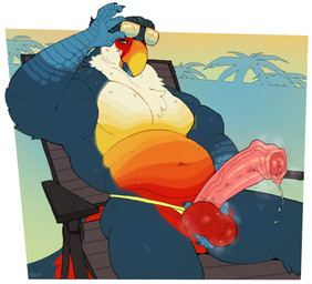 anthro balls beach_chair beak belly big_penis bodily_fluids chair clothed clothing erection eyewear eyewear_on_head feathers foreskin furniture genital_fluids genitals humanoid_genitalia humanoid_penis looking_at_viewer male mostly_nude_male muscular muscular_anthro muscular_male on_chair overweight overweight_anthro overweight_male penis precum sitting sitting_on_chair solo speedo speedo_only sunglasses sunglasses_on_head swimwear tail tail_feathers topless wearing_sunglasses wet roly guillermo_(giorgiradio) avian bird toucan hi_res