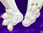 anthro claws feet foot_focus foot_shot glistening glistening_feet gold_claws male plantigrade purple_background scales simple_background soles solo white_body white_scales nx-42 mythology dragon mythological_creature mythological_scalie scalie absurd_res hi_res