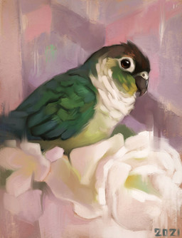 beak biped bipedal_feral black_beak black_head brown_eyes feathers feral green_body green_feathers green_neck green_wings multicolored_body multicolored_feathers on_flower solo white_chest wings alexpahomov avian bird parakeet parrot true_parrot 2021 digital_media_(artwork) digital_painting_(artwork) painting_(artwork)