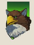 feral male solo runasolaris mythology gabrielgryphon_(character) avian bird gryphon mythological_avian mythological_creature hi_res