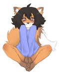 anthro astra_(disambiguation) canid canine clothing elronya fan_character female fox hair mammal solo