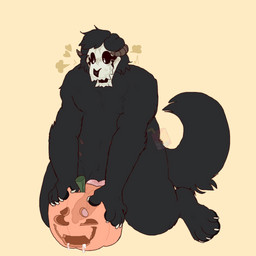 animal_genitalia animal_penis anthro black_body black_fur blush bodily_fluids breath canine_genitalia canine_penis erection food fruit fur genitals heart_symbol looking_pleasured male overweight overweight_anthro overweight_male panting penetrating_pumpkin penis plant pumpkin pumpkin_fucking solo bugjuice flip_shade_sauerkraut skulldog_(species) 1:1 absurd_res hi_res