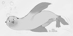 animal_genitalia animal_penis anus bubble erection feral fin genital_slit genitals looking_at_viewer male penis solo swimming tail tail_fin underwater water otterlike mammal marine pinniped seal 2018 2:1 absurd_res greyscale hi_res monochrome signature sketch