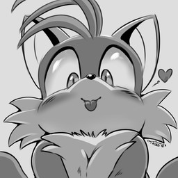 anthro blush blush_lines cheek_tuft chest_tuft closed_smile facial_tuft fur grey_background hair head_tuft heart_symbol looking_at_viewer looking_down looking_down_at_viewer low-angle_view male mouth_closed pupils short_hair simple_background smile solo text tongue tongue_out tuft worm's-eye_view young young_male conditional_dnp digitaldomain123 sega sonic_the_hedgehog_(series) miles_prower canid canine fox mammal 1:1 2025 absurd_res artist_name greyscale hi_res monochrome signature