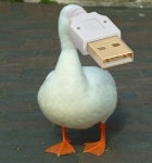 ambiguous_gender brick displacement electronics feet feral for_a_head membrane_(anatomy) outside real solo toes usb usb_compatible webbed_feet what what_has_science_done third-party_edit unknown_artist anatid animate_inanimate anseriform avian bird duck object_head grandfathered_content low_res shopped