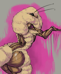 anthro black_eyes butt compound_eyes exoskeleton female fur_collar presenting presenting_hindquarters simple_background solo thick_thighs sun_bug moth_girl_(sun_bug) arthropod insect lepidopteran moth