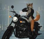 anthro belly black_lips female genitals lips motorcycle pussy solo vehicle white_belly asenak_(artist) canid canine fox mammal 3d_(artwork) absurd_res digital_media_(artwork) hi_res