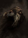 anthro beak feathers male open_mouth simple_background solo kotia accipitrid accipitriform avian bearded_vulture bird old_world_vulture vulture absurd_res digital_media_(artwork) hi_res portrait