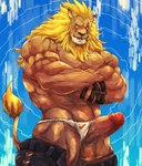 abs anthro asian_clothing balls biceps clothing clothing_aside east_asian_clothing fundoshi fundoshi_aside genitals japanese_clothing male mane muscular muscular_anthro muscular_male pecs penis solo tail underwear underwear_aside vein veiny_penis lost_out_gi bandai_namco digimon digimon_(species) leomon absurd_res hi_res