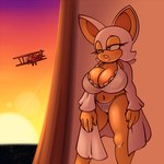 anthro big_breasts biplane bra breast_squish breasts clothed clothing female huge_breasts open_clothing open_robe panties robe solo squish sunset underwear hyoumaru sega sonic_the_hedgehog_(series) miles_prower rouge_the_bat bat mammal 1:1