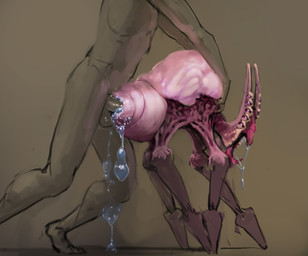 ambiguous_gender ambiguous_penetration arthropod_abdomen balls beak bestiality bodily_fluids drooling excessive_genital_fluids feral feral_penetrated genital_fluids genitals grabbing_from_behind holding_another human_on_feral human_penetrating human_penetrating_feral humanoid_genitalia humanoid_penis interspecies looking_back male male/ambiguous multi_eye open_beak open_mouth penetration penis pink_body saliva saliva_string sex standing standing_sex teratophilia xenophilia meandraco alien arthropod human insect mammal 2023 digital_media_(artwork) hi_res