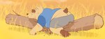 anthro belly bottomwear brown_body brown_fur butt butt_cleavage clothing detailed_background eyes_closed fur male outside overweight overweight_anthro overweight_male shirt shorts sleeping solo topwear bearwithabroom brum bear mammal 2021 hi_res