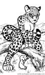 1997 anthro black_and_white detailed_background felid female jaguar joe_rosales low_res mammal monochrome nipples outside pantherine sky solo text url wide_hips