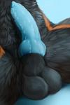 animal_genitalia animal_penis balls blue_background blue_penis canine_genitalia canine_penis close-up crotch_shot erection fluffy fur genitals glistening glistening_genitalia glistening_penis knot male multicolored_body multicolored_fur nude penis sheath simple_background solo vein homogenousrule aronai canid canine canis mammal wolf 2016 2:3 absurd_res digital_media_(artwork) hi_res