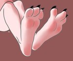 3_toes 6:5 ambiguous_gender anthro blush body_blush brown_background claws close-up feet foot_blush foot_focus foot_shot hi_res hindpaw hxcfoxy mammal murid murine nude oma_(hxcfoxy) paws plantigrade rat rodent simple_background soles solo toe_claws toes white_body