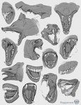 ambiguous_gender anatomy anterior_nasal_aperture beak bodily_fluids bone fangs feral group open_mouth saliva sharp_teeth side_view simple_background skull snarling snout teeth textured_background tongue toothed_beak white_background rappenem anatid anseriform anserinae avian bird canid canine crocodilian equid equine goose human mammal reptile scalie snake absurd_res greyscale hi_res monochrome sketch