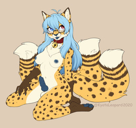 animal_genitalia anthro balls bell bell_collar blep blue_claws blue_eyes blue_hair blue_nipples blue_pawpads blue_penis blue_tongue breasts chest_tuft claws collar digitigrade erection eyewear feet genitals glasses gynomorph hair heterochromia hybrid_genitalia hybrid_penis intersex kneeling knot long_hair multi_tail nipple_dip nipples nude pawpads penile_spines penis pose red_eyes sheath solo tail tongue tongue_out tuft kyotoleopard neko_ed canid canine cheetah felid feline fox hybrid mammal 2020 absurd_res dated digital_media_(artwork) hi_res pinup nonbinary_(lore) trans_(lore) trans_woman_(lore)