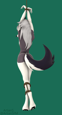 anthro arms_above_head bdsm bondage bound butt clothing convenient_censorship digitigrade exposure_variation feet female fur green_background grey_body grey_fur hair hands_tied legs_tied multicolored_body multicolored_fur nude pawpads paws rear_view restraints rope rope_bondage simple_background solo standing tail tail_censorship toes topwear white_body white_fur white_hair artians aeridiccore_(modeler) hellaverse helluva_boss mythology loona_(helluva_boss) canid canid_demon canine demon hellhound mammal mythological_canine mythological_creature 3d_(artwork) absurd_res digital_media_(artwork) hi_res source_filmmaker_(artwork)
