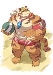 anthro barazoku biped bulge clothing hat headgear headwear kemono male muscular muscular_anthro muscular_male solo swimwear ayame42612 felid mammal pantherine tiger 2020 hi_res