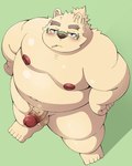 anthro balls belly blush erection eyewear genitals glasses kemono male moobs navel nipples overweight overweight_male penis simple_background smoking solo pomupomu490 lifewonders tokyo_afterschool_summoners leib_(tas) bear mammal polar_bear ursine 2025 4:5 hi_res