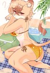 anthro beach_blanket big_breasts big_butt bikini breasts butt clothing cooler eyebrows eyelashes feet female fur gold_bikini hair inner_ear_fluff kemono question_mark red_eyes side-tie_bikini side_boob solo string_bikini swimwear tail tail_tuft tan_body tan_fur tan_hair thick_thighs tuft two-piece_swimsuit wide_hips simona_kemo golden_week felid lion mammal pantherine 2025 absurd_res hi_res