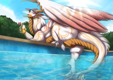 alcohol ambiguous_gender animal_genitalia beverage brown_body brown_scales butt cloaca cocktail feral folded_wings fur genitals mane pink_cloaca scales solo swimming_pool ventral_scales white_body white_fur white_mane wings shadoweyenoom tabirs mythology dragon furred_dragon furred_scalie mythological_creature mythological_scalie scalie