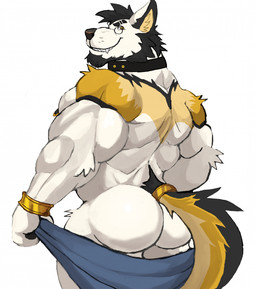 anthro beard black_hair bracelet butt collar eyewear facial_hair fur glasses grin hair jewelry looking_at_viewer looking_back looking_back_at_viewer male muscular muscular_anthro muscular_male nipple_piercing nipples nude_anthro nude_male piercing rear_view smile solo towel white_body white_fur darknaigart canid canine canis mammal wolf 2025 hi_res
